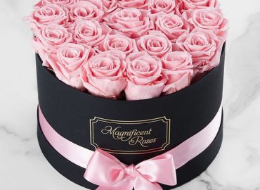 Gift - Blossom Pink Gift Box