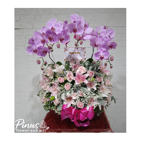 Bunga Meja Surabaya - Orchid Fairytale Love In Vase